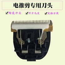 Pet Electric Pushy Scissors Head Teddy Gold Fur Pooch Shave Pet Store Special Electric Pushers Pushers Blades head