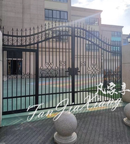 Simple Wrought iron courtyard door Community outdoor villa door Double open rural iron door Security door School door Entry door