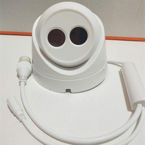 Hikvision network surveillance camera 1 million hemisphere POE camera DS-2CD1301-I