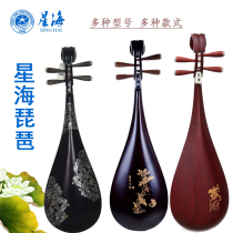 Beijing Xinghai 8971xy Xiangyun adult children hardwood pipa 89118912 Professional playing pipa musical instruments