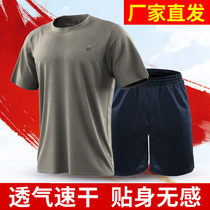Physical fitness suit suit New physical training suit Short-sleeved tactical mens summer training T-shirt round neck quick-drying suit