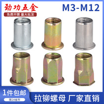 Pull rivet nut Hexagon rivet nut Aluminum 304 stainless steel M3M4M5M6M8M10M12 L