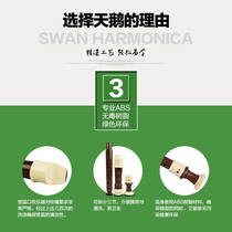 Flagship store) introductory flute SWAN beginner Professional upgrade British 8-hole detachable English eight-hole clarinet Super