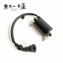 Suitable for 250 high voltage package GW250 DL250 GSX250R high voltage package igniter coil