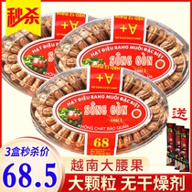 Vietnam cashew Saigon large particles imported charcoal baked salt baked with skin gift box Nuts dried fruits Specialty snacks
