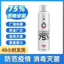75% Alcohol Ethanol Disinfectant Antibacterial Spray Car Home Home Household Mother and Child Skin Cleaning Spray