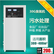 Feili FL-830A industrial water treatment decolorization sterilization ozone machine Aquaculture plant disinfection ozone generator