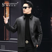 First layer cowhide jacket mens slim middle-aged shirt collar detachable down jacket Haining high-grade leather jacket