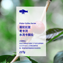 FISHERCOFFEE Columbia Cauca River Wash Katura boutique hand-washed coffee beans M227g