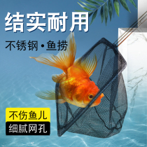 Fish wang lao aquarium accessories Daquan fishing trumpet fish tank wang lao fish wang xiao yu household fish lao wang