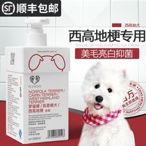 West Highland Terrier White Hair Special West White Stem Dog Shower Gel Pet Sterilization Deodorant Shampoo Bath