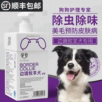 Border Collie dog shower gel Side animal husbandry special sterilization deodorant antipruritic puppy pet bath products shampoo