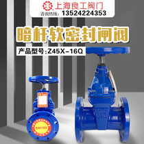 Shanghai Lianggong Valve Z45X-16Q ductile iron dark Rod soft seal flange gate valve DN50 80 100