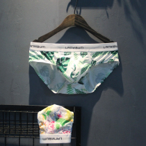 2 thin and sexy low waist triangular monolayer U convex large sack breathable speed dry chinlon ice silk leaf splashout craze