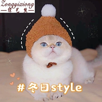 Knock good-looking handmade small hat pet accessories cat hat cross-dressing hat small dog headgear photo props