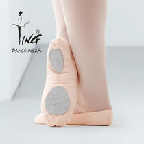 Chen Ting Girl Meat Color Ballet Dancing Shoes Dance Soft Ground Practice Shoes Mens Belly Leather Dance Shoes Cat Claw Sails Shoes Adults