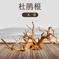 Rhododendron fish tank landscaping sunken wood-free branches tree forest natural crawling branches climbing tree-shaped ornaments root