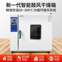 Electric blast constant temperature oven Small oven Laboratory oven Industrial oven Instrument incubator