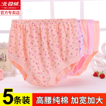 Middle-aged mother panties female pure cotton elderly high waist plus size briefs grandma shorts mens pants 5 packs