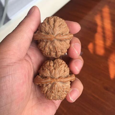 闷尖白狮子头精选和闷尖白狮子头品牌价格与图片-淘宝商品网