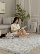 Brief Living room Large area full of ground blanket Home Bedroom Teen Girl Ins Wind Bed Side Plush Blankets Thickened