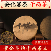 Black tea Hunan Anhua black tea authentic golden flower full thousand two tea 650g black tea cake flower roll Tea Cake Tea Cake Tea