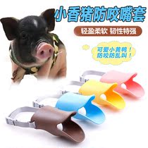 Small fragrant pig mouth cover anti-bite eating pet pig mouth cover cage anti-call to prevent accidental eating of Thai Dutch small pig supplies
