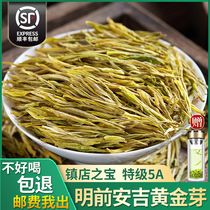 Tea small new green tea 2021 new tea authentic Anji white tea head picking up before Grade 5A Gold Bud Tea 250g