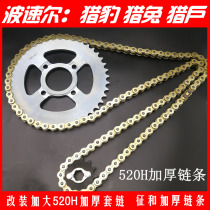 Bozol Cheetah 250 Hare Hunt Off-road Vehicle 520 Thickened Golden Chain Size Flying Gear Set Chain Gear