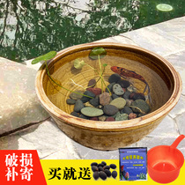 Green enamel water lily bowl fleshy pottery pot Flower pot Earth pottery Coarse pottery Classical flower bed Water raising flower pot Flower pot Lotus