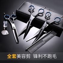 Pet dog curving small dog practice small and medium-sized dog upper bending scissors parallel cutting eye Husky