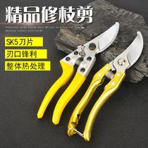 Gardening branches branches scissors special pruning shears garden flower scissors pruning flowers fruit trees fruit trees scissors branches