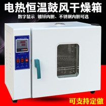DHG101-00 1 2 3 4 Electric constant temperature blast drying oven Drying oven Constant temperature drying oven Industrial oven