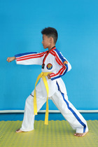 Tiger team new taekwondo uniforms childrens uniforms coaching uniforms