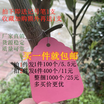 Flower brand paper label with rope plastic listing gardening label Plug seedling multi-meat label mark sign sign