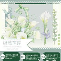 Green Lianlian Society Joint Name pet Tape Flower Plant Material Handbook Sticker Collage Sticker Decoration Whole Roll 10 m