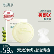 Natural melody sea salt soap mite soap sulfur cleansing back mite de-mite men and women wash face handmade non-horse oil soap