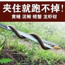 Lobster clip Eel clip Stainless steel non-slip clip fish control crab clip Loach pliers catch sea tools