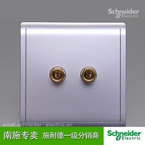Schneider switch Audio Two-head two-hole single socket Fengshang lavender silver 86 type wall panel