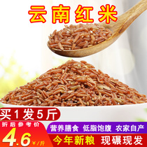 5kg Yunnan Plateau Red Rice Home Red Rice Grain Rice Red Brown Rice Coarse Grain Blood Rice Red Fragrant Rice