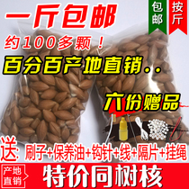 Olive core raw material nuclear carving hand string raw material black olive olive seed single seed long string special price one catty