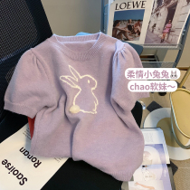 Soft Glutinous Purple Rabbit Bubble Sleeves Sweater Woman 2022 Early spring New design Sensation Little Crowdsourced short-knitted sweatshirt