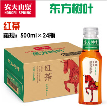 New packaging Nongfu Mountain Spring Oriental Leaf Black Tea 500ml*24 bottles Full carton without sugar Zero Calu