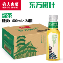 Nongfu Shanquan Oriental Leaf Green Tea 500ml*24 bottles Full carton Drinks Drinks 0 cards Sugar-free tea
