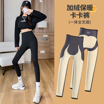 Plus velvet shark pants women wear leggings spring and autumn winter high waist card suspension hip yoga Barbie pants