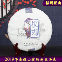 Nanwaoshan Puer raw tea 2019 Big Tree pure material Head Spring 357G Yunnan Hani nationality Puma Laozhai Puer tea