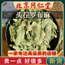 Tongrentang raw materials Chinese medicinal materials Apocynum Venetum 500g g Xinjiang origin special bulk apocynum leaf tea