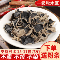 Authentic northeast black fungus dry goods 250g non-grade wild autumn fungus rootless free pick Changbai Mountain specialty New Products
