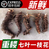 Wild Dian Chonglou born with seven leaves a flower a flower a single lily genuine Chinese medicinal material 500g Shunfeng