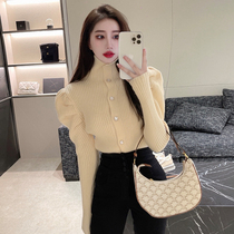 Striped knitted base shirt Womens interior wear autumn and winter half high collar thick sweater design sense niche bubble sleeve top